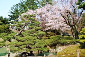 酒井家庭園